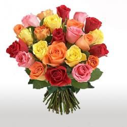 Rosas Mistas