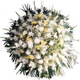 COROA DE FLORES ANTARES 1