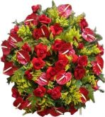 COROA DE FLORES ANTARES 4
