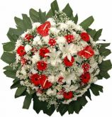 COROA DE FLORES ANTARES 3