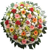 COROA DE FLORES ANTARES 7
